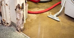 water damage restoration [location]