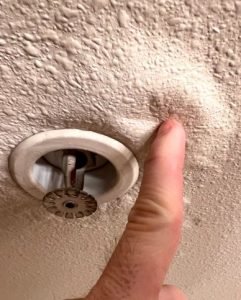 water damage plaster bobbling [location]