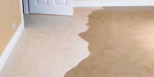 flood damage restoration pasadena