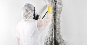 water damage restoration mold removal